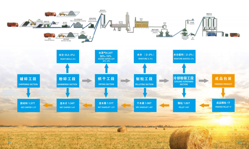 竞技宝宣传册_13 - 副本.png